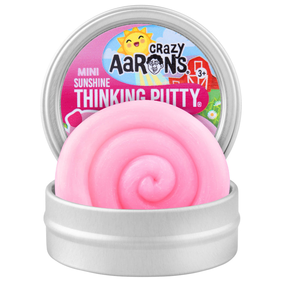 Piglet | MINI Tin D6